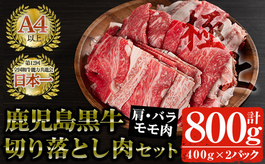 鹿児島黒牛 切り落とし肉詰め合わせ(計800g・400g×2P) 国産 黒毛和牛 切り落とし【佐多精肉店】A23-v02
