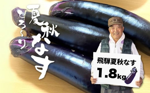 先行予約 令和7年産【7月上旬～10月中旬発送】飛騨 夏秋なす 1.8kg 茄子 ナス 大なす 産地直送 夏野菜 syun170