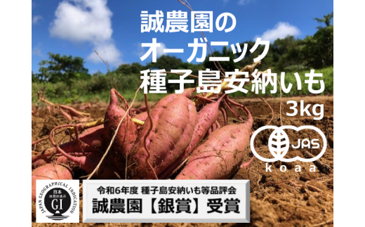 [先行予約] 種子島 産 オーガニック (有機) 種子島安納いも (誠農園) 3kg NFN599 [250pt] 有機栽培 有機JAS 認証 安納いも 安納芋 熟成 糖度 オーガニック 安心安全
