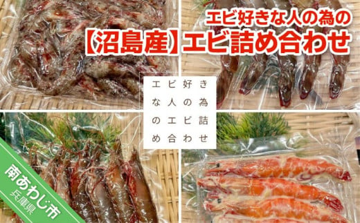 【マコトの魚屋さん】【沼島産】エビ好きな人の為のエビ詰め合わせ（足赤エビ・シラサエビ・パチエビ・足赤エビの味噌漬け）　◆配送11/1～2/28