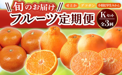 【旬のお届け フルーツ定期便 3回】Kセット せとか 約5.0kg デコポン約5kg 小原紅早生みかん 約4.5kg 旬 フルーツ 果物 国産 香川県  F5J-803