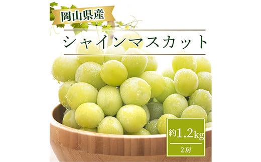 【先行受付】＜2025年9～11月発送＞岡山県産 シャインマスカット 約1.2kg(2房) TY0-0629 430162 - 岡山県津山市