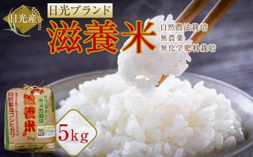 日光産 滋養米　5Kg | 日光ブランド お米 ごはん 自然農法 無農薬 無化学肥料栽培 コシヒカリ 産地直送 産直