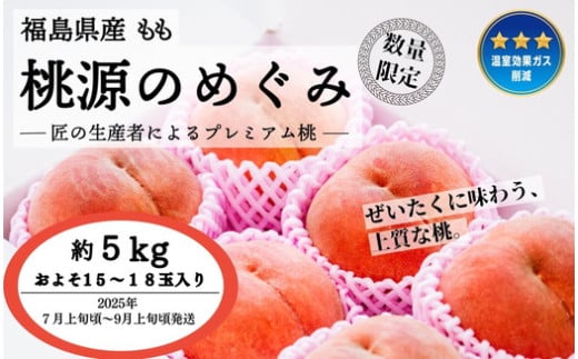 ◆2025年夏発送◆桃源のめぐみ～産直・桃・約5kg～　※離島への配送不可　※2025年7月上旬～9月上旬頃に順次発送予定