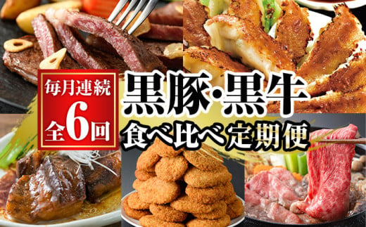 【6か月定期便】鹿児島黒豚（餃子と角煮など） と 鹿児島黒牛(ステーキ) の 食べ比べ 定期便 鹿児島県産 黒牛 黒豚 冷凍 で 毎月 お届け【E-136H】