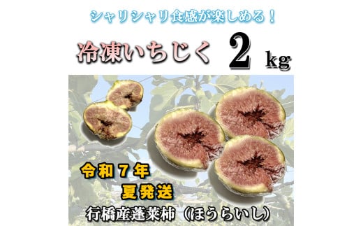 AO-010_【予約・令和７年夏発送】冷凍いちじく2kg 665283 - 福岡県行橋市