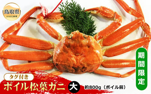 E24-074 【魚倉】タグ付きボイル松葉ガニ 大 約800g（ボイル前）【期間限定】