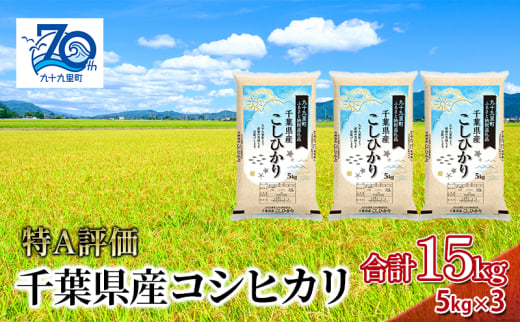 米 千葉県産コシヒカリ5kg×3 こしひかり セット お米 特A評価 精米 ふっくら もっちり 粘り気 旨み 香り ツヤ やわらかい 歯ごたえ 九十九里町 千葉県[№5743-0547] 1801347 - 千葉県九十九里町