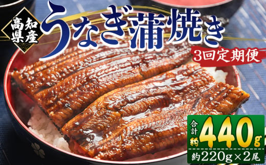 国産 うなぎ 定期便 3回 約220g 2尾 蒲焼き 高知県産 養殖 魚介 国産 海鮮 魚 かばやき 鰻 ウナギ 惣菜 おかず お手軽 加工品 加工食品 冷凍 Wfb-0062