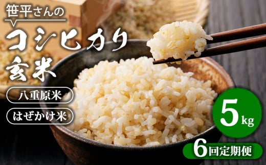 【定期便】【令和6年産】八重原産コシヒカリ 玄米【5kg×全6回 合計30kg】｜笹平さんのお米 八重原米 はざかけ はぜかけ 1817105 - 長野県東御市