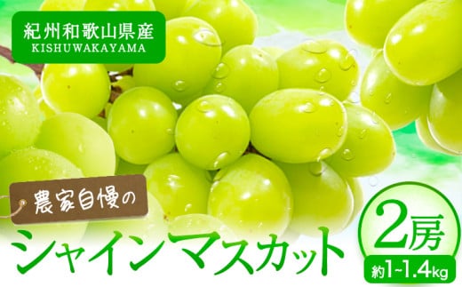 紀州和歌山産 シャインマスカット 2房 魚鶴《8月下旬-9月末頃出荷(土日祝除く)》マスカット 和歌山県 日高町 贈り物 ギフト ぶどう シャインマスカット