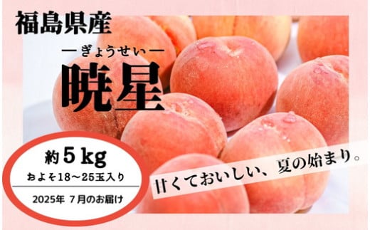 ◆2025年夏発送◆暁星～産直・桃・約5kg～　※離島への配送不可　※2025年7月上旬～7月下旬頃に順次発送予定