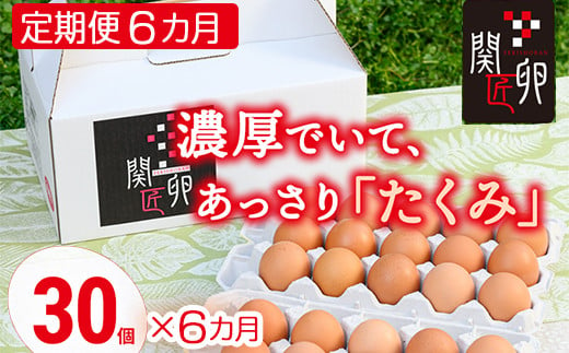 【定期便6か月】関匠卵 たくみ 30個×6か月｜卵 30個 赤玉 玉子 たまご 生卵 鶏卵 産みたて 新鮮 濃厚 健康 TKG たまごかけごはん ご飯のお供 国産 ギフト 贈答 贈り物 お中元 お歳暮 プレゼント 茨城県 古河市 農家直送 _CP09 ※北海道・沖縄・離島への配送不可