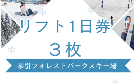 2024-2025琴引フォレストパークスキー場リフト１日券　３枚【 島根県 飯南町 初心者向け 上級者向け アウトドア ウィンタースポーツ スキー スノーボード スノボー 体験型 人工雪 スキーチケット チケット C-180 】 494051 - 島根県飯南町