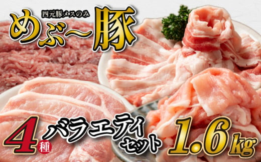 【地元ブランド豚】めぶ～豚 4種バラエティパック 計1.6kg（豚肉 豚 豚バラ とんかつ用 切り落とし こま切れ ミンチ 小分け）