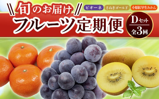 【旬のお届け フルーツ定期便 3回】Dセット ピオーネ 約1.2kg さぬきゴールド 約2.7kg 小原紅早生みかん 約4.5kg  F5J-796