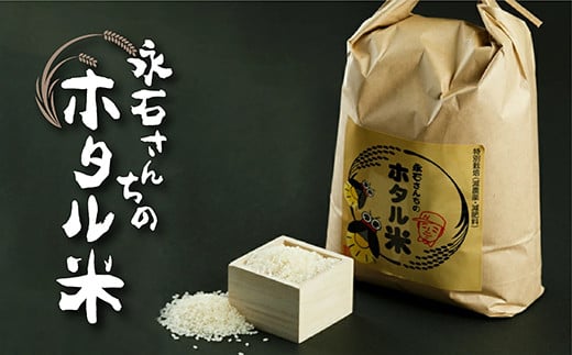 【 令和６年産 】 さがびより 定期便 10kg×4回 | さがびより 定期便 永石さんちのホタル米 白米 お米 精米 １０kg×４回 10キロ×4回 40kg 令和６年 こめ コメ 米 ごはん _e-29