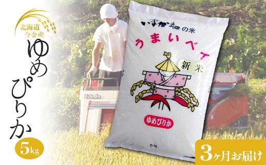 【3ヶ月連続お届け】今金産 ゆめぴりか 5kg お米 北海道 今金町産 米 白米 米俵 クラウドファンディング 実施中 GCF F21W-433 1837271 - 北海道今金町