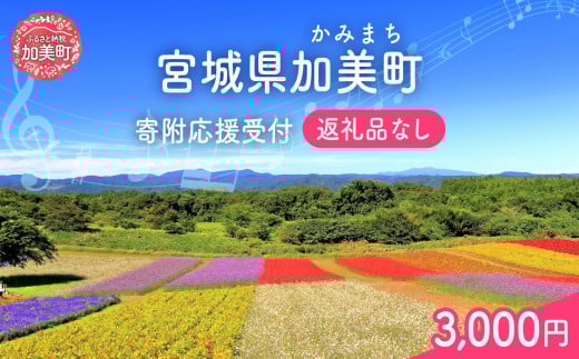 返礼品なし 宮城県 加美町 ふるさと応援寄附金 3,000円 | 寄附 応援 | kznot-3000 1786059 - 宮城県加美町