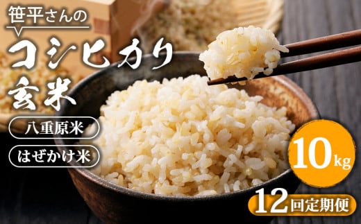 【定期便】【令和6年産】八重原産コシヒカリ 玄米【10kg×全12回 合計120kg】｜笹平さんのお米 八重原米 はざかけ はぜかけ 1817108 - 長野県東御市