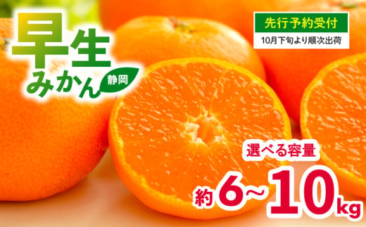 [ 先行予約 : 2025年10月下旬〜発送予定 ] 選べる容量 早生 みかん 6〜10kg 静岡県産 果物 国産 フルーツ 柑橘 蜜柑 ミカン 大小 ミックス 不揃い 温州 ビタミン 美味しい