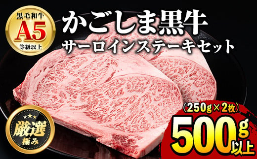 [30963]鹿児島県産黒毛和牛!A5等級サーロインステーキ(計500g・約250g×2枚)国産 牛肉 肉 冷凍 サーロイン 鹿児島 ステーキ 焼肉 BBQ バーベキュー[前田畜産たかしや]