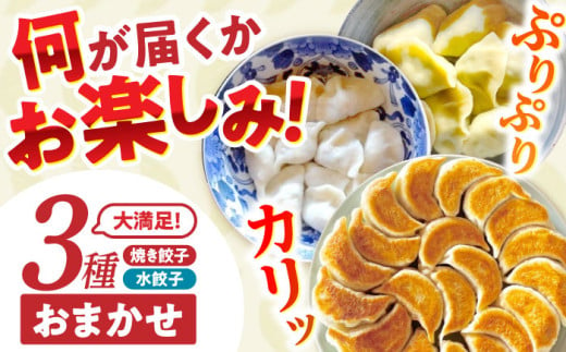 餃子 3種おまかせ便 / ギョウザ ぎょうざ 餃子 焼餃子 水餃子 冷凍 / 諫早市 / 餃子のかわしも [AHBM004] 1756047 - 長崎県諫早市