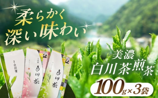 白川茶 煎茶セット100g×3袋 お茶 茶 煎茶 茶葉 白川茶 白川町 / 白川町農業開発 [AWAH009] 1121337 - 岐阜県白川町