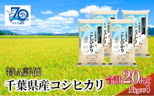 米 千葉県産コシヒカリ5kg×4 こしひかり セット お米 特A評価 精米 ふっくら もっちり 粘り気 旨み 香り ツヤ やわらかい 歯ごたえ 九十九里町 千葉県[№5743-0548] 1801348 - 千葉県九十九里町