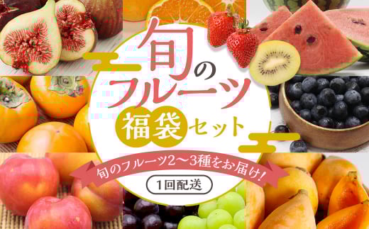 何が届くかお楽しみ！むなかた旬のフルーツ福袋セット【JAほたるの里】_HA1541 1433963 - 福岡県宗像市 |