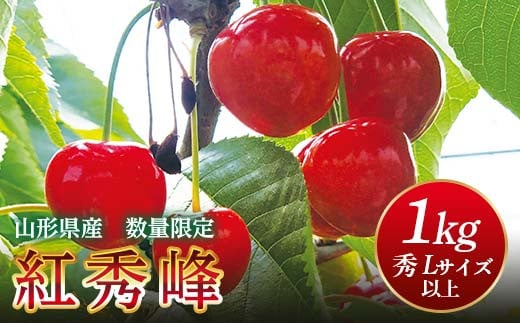 FYN9-257 《2025年先行予約》山形県産 さくらんぼ 紅秀峰 1kg(500g×2) 秀 L以上 バラパック詰め 2025年6月中旬から順次発送 果実 果物くだもの フルーツ 桜桃 サクランボ 化粧箱 贈り物 ギフト 贈答用 家庭用 自宅用 産地直送 山形県 西川町 月山 322618 - 山形県西川町