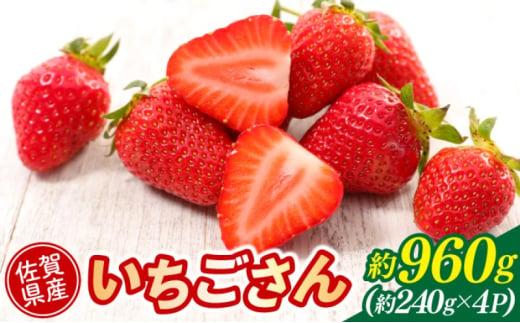 いちご 佐賀県産 いちごさん 約960g (約240g×4パック) イチゴ 果物 ※配送不可：北海道、沖縄県、離島 1802637 - 佐賀県鳥栖市