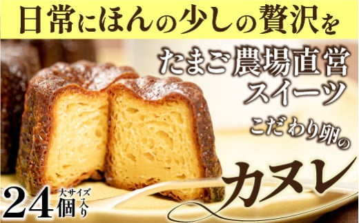 たまご農場直営スイーツ!こだわり卵の食べ応え抜群!大きなカヌレ24個入り Gbn-56 かぬれ 焼き菓子 スイーツ 人気 バニラ デザート お取り寄せ 送料無料 カヌレ お菓子 洋菓子 プレゼント プチギフト 美味しい おすすめ 1780532 - 高知県四万十町