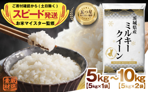 [ スピード配送 ] ＼ 選べる内容量 / [ 令和6年産 ] 茨城県産 ミルキークイーン 5kg 10kg 五つ星 お米マイスター 監修 こしひかり 国産 こめ コメ 米 精米 すぐ発送 人気 美味しい ランキング ふるさと納税 返礼品