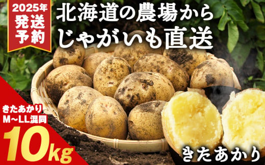 2025年発送予約】数量限定 期間限定 じゃがいも 10kg 北海道 きたあかり ジャガイモ 芋 いも - 北海道積丹町｜ふるさとチョイス -  ふるさと納税サイト