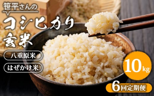 【定期便】【令和6年産】八重原産コシヒカリ 玄米【10kg×全6回 合計60kg】｜笹平さんのお米 八重原米 はざかけ はぜかけ 1817107 - 長野県東御市