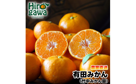 ▼早生みかん 5kg(サイズ混合) ※12月~1月順次発送予定 【tkn004-wr-5-12】 1553960 - 和歌山県広川町
