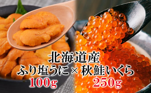 北海道産 ふり塩うに（エゾバフンウニ）100g いくら醤油漬け250g うにいくら丼 冷凍保存 事業者支援 1757968 - 北海道鹿部町