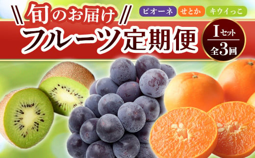 【旬のお届け フルーツ定期便 3回】Iセット ピオーネ 約1.2kg せとか 約5.0kg キウイっこ 約1.8kg 旬 フルーツ 果物 国産 香川県  F5J-801