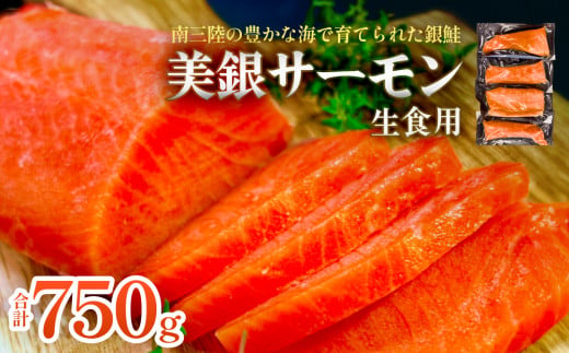 美銀サーモン（生食用）750g 冷凍 切り身 鮭 さけ サケ シャケ 銀鮭 お刺身 カルパッチョ おつまみ