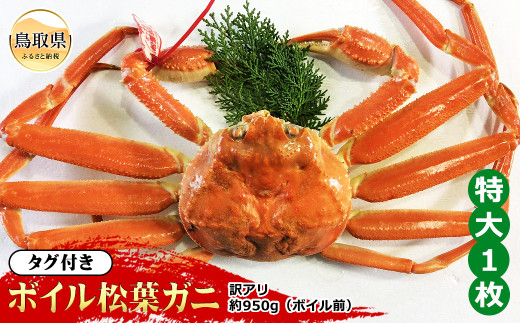 E24-045 【魚倉】タグ付きボイル松葉ガニ 特大 約950g（ボイル前）【期間限定】