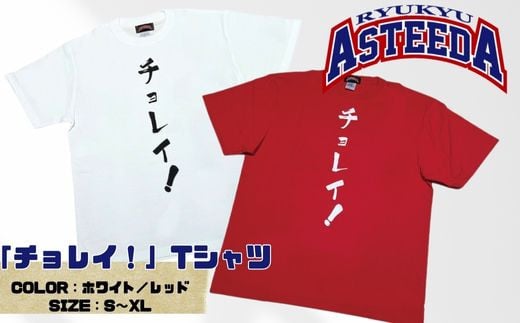 琉球アスティーダ　チョレイTシャツ 卓球 チョレイ Tリーグ 卓球リーグ 応援グッズ てぃーだくん ピンポン table tennis