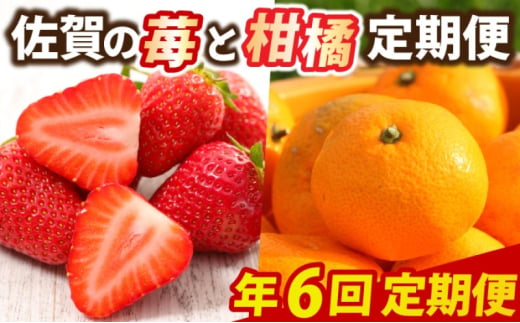 定期便 6回 佐賀の苺と柑橘定期便 いちご 柑橘 年6回 ※配送不可：北海道、沖縄県、離島 1802639 - 佐賀県鳥栖市