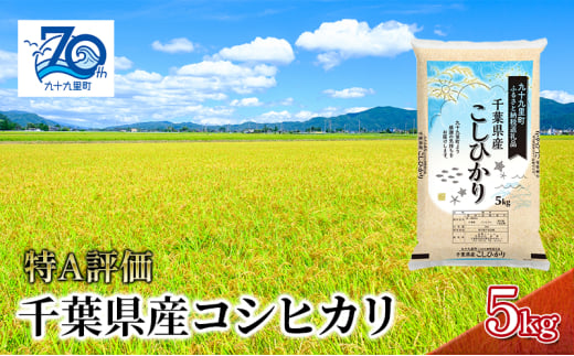 米 千葉県産コシヒカリ5kg こしひかり セット お米 特A評価 精米 ふっくら もっちり 粘り気 旨み 香り ツヤ やわらかい 歯ごたえ 九十九里町 千葉県[№5743-0545] 1801345 - 千葉県九十九里町