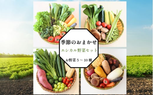 季節のエシカル野菜詰め合わせセット（5～10種）季節 旬 野菜 詰め合せ 国産 おまかせ 産地直送 春野菜 夏野菜 秋野菜 きのこ 葉物 果物 果菜 根菜 冷蔵 野菜室 ダイエット 食 栄養食 加工品 カット野菜 小松島産 季節限定