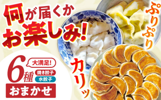 餃子 6種おまかせ便 / ギョウザ ぎょうざ 餃子 焼餃子 水餃子 冷凍 / 諫早市 / 餃子のかわしも [AHBM005] 1756048 - 長崎県諫早市