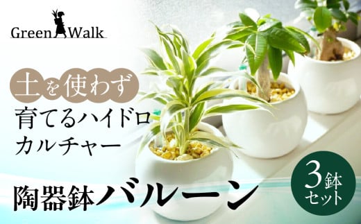 ハイドロカルチャー バルーン 陶器鉢 ゼオライト植え 3鉢セット 土無し インテリア 緑 グリーン 植物 簡単 初心者 かわいい 自然 おしゃれ 送料無料 Green Walk グリーンウォーク 愛知県 豊橋市 1886110 - 愛知県豊橋市