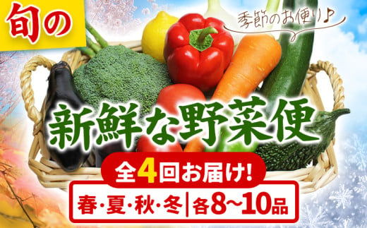 旬の新鮮な 野菜便 定期便 計4回お届け 各8～10品 アグリサポート美馬《次シーズンから出荷》春夏秋冬 定期 野菜 青果物 お取り寄せ 送料無料 徳島県 美馬市