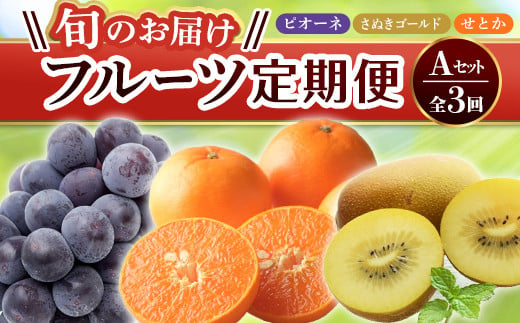 【旬のお届け フルーツ定期便 3回】Aセット ピオーネ 約1.2kg さぬきゴールド 約2.7kg せとか約5kg  F5J-793  1963691 - 香川県琴平町