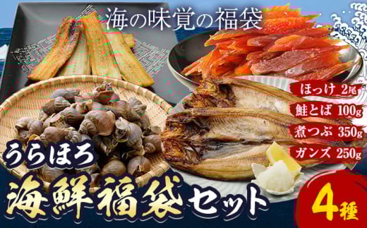 うらほろ海鮮 福袋セット 4種 とば100g がんず250g 煮つぶ350g ホッケ2尾 北海道産《60日以内に出荷予定(土日祝除く)》北海道 浦幌町 山本商店 海鮮 福袋 鮭とば ガンズ 煮つぶ ほっけ 483063 - 北海道浦幌町